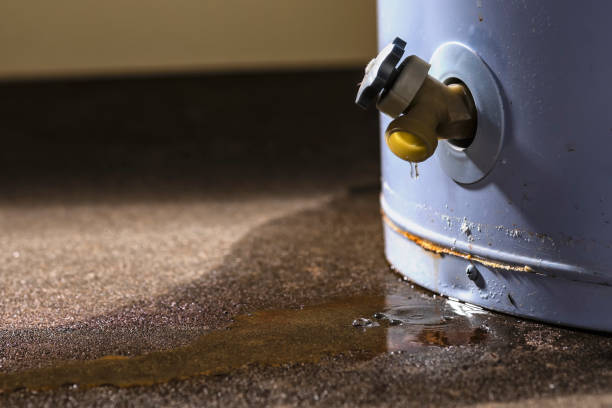 Best Water damage restoration specialists  in Cockrell Hill, TX