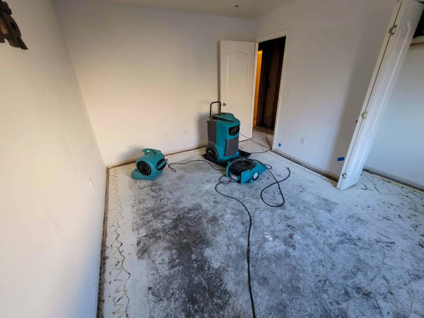 Best Residential water damage restoration  in Cockrell Hill, TX