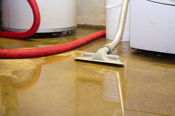 Best Ceiling water damage repair  in Cockrell Hill, TX