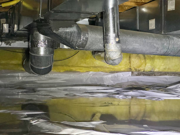 Best Water damage cleanup near me  in Cockrell Hill, TX