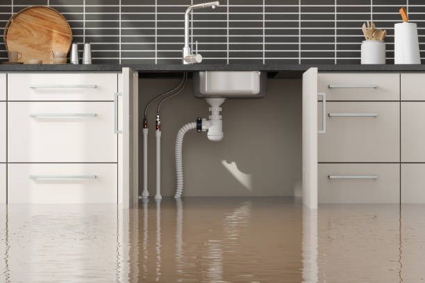 Best Water damage restoration insurance claims  in Cockrell Hill, TX